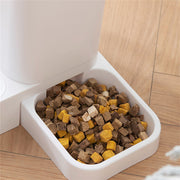 Pet Automatic Feeder